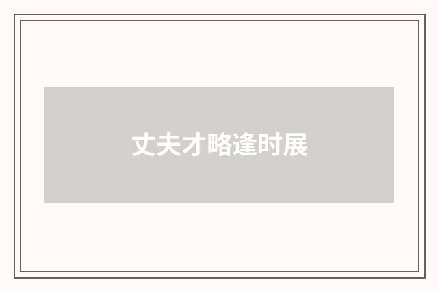 丈夫才略逢时展