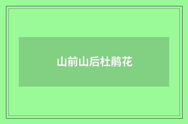 山前山后杜鹃花