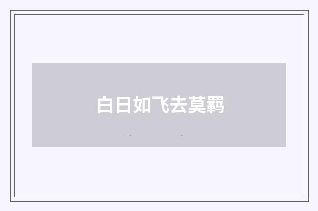 白日如飞去莫羁