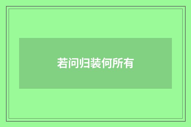 若问归装何所有