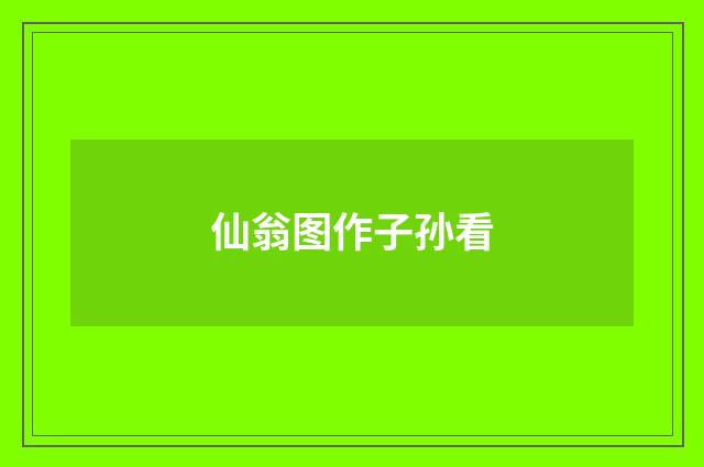 仙翁图作子孙看