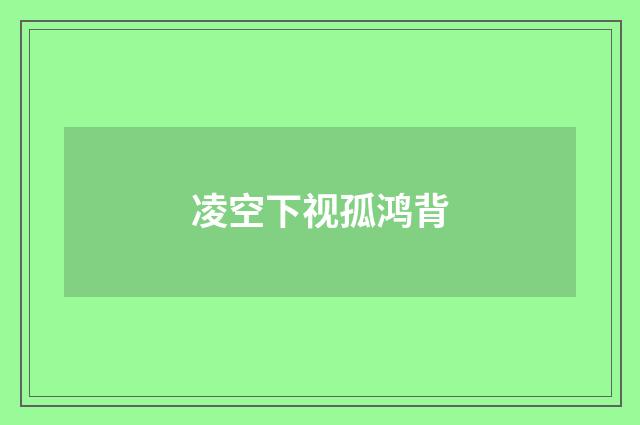 凌空下视孤鸿背
