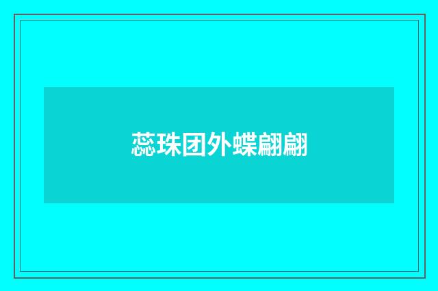 蕊珠团外蝶翩翩