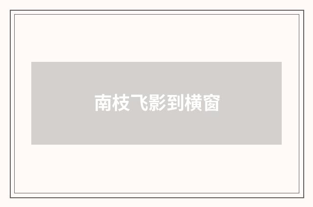 南枝飞影到横窗