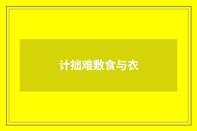 计拙难敷食与衣