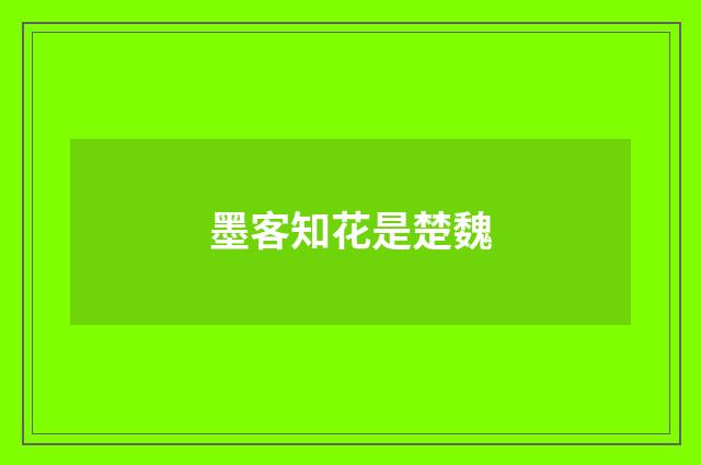 墨客知花是楚魏