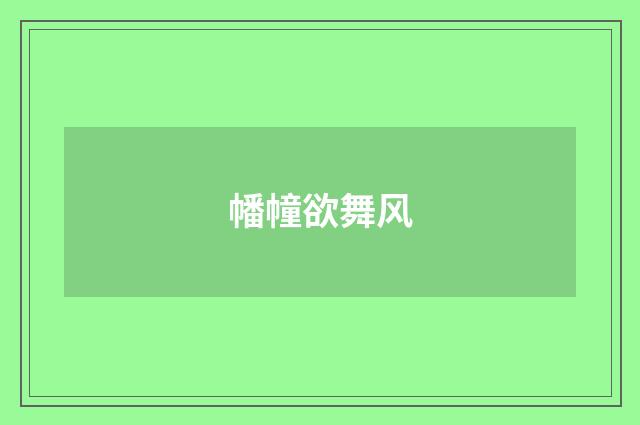 幡幢欲舞风