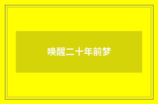 唤醒二十年前梦