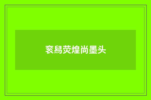 衮舄荧煌尚墨头