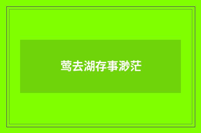 莺去湖存事渺茫