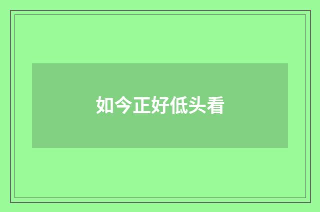 如今正好低头看