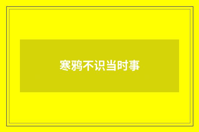 寒鸦不识当时事