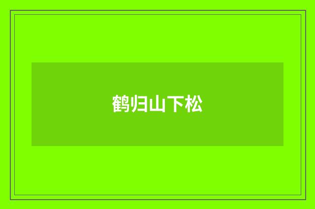 鹤归山下松