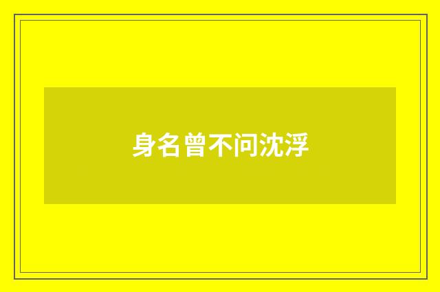 身名曾不问沈浮