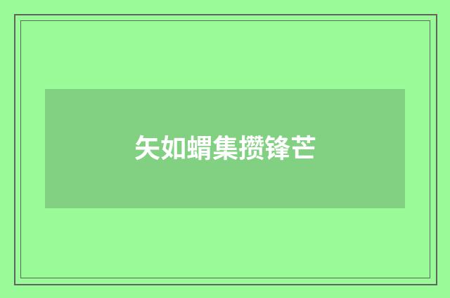 矢如蝟集攒锋芒