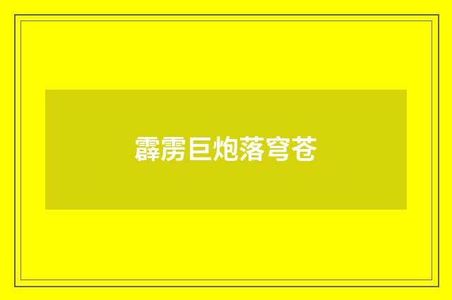 霹雳巨炮落穹苍