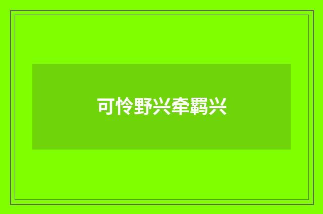 可怜野兴牵羁兴