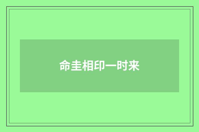 命圭相印一时来