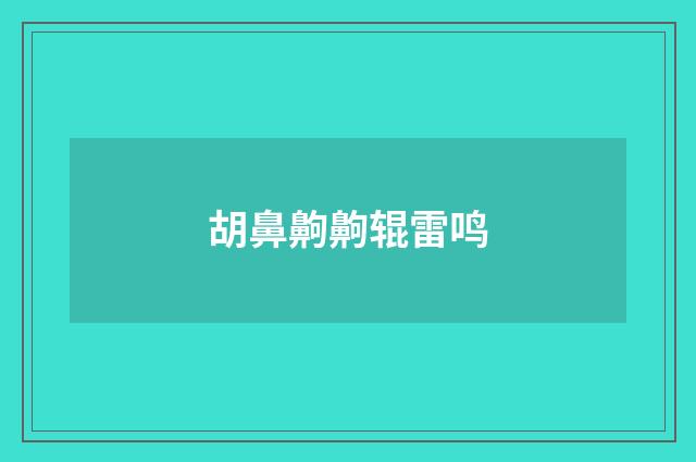 胡鼻齁齁辊雷鸣