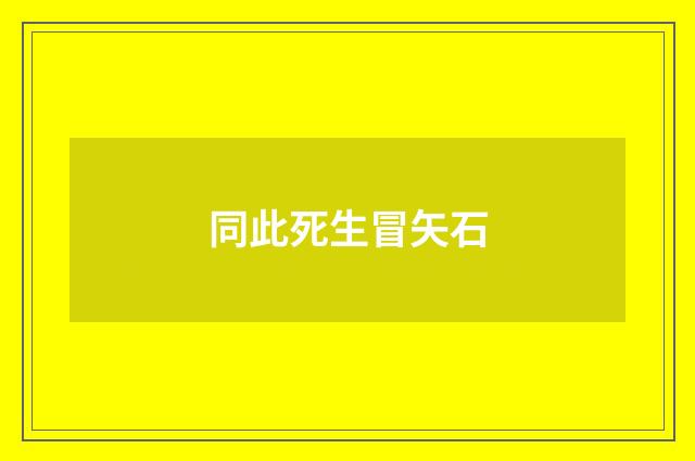 同此死生冒矢石