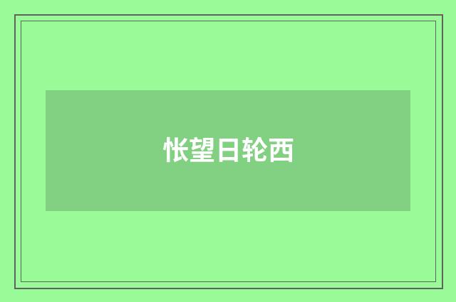 怅望日轮西
