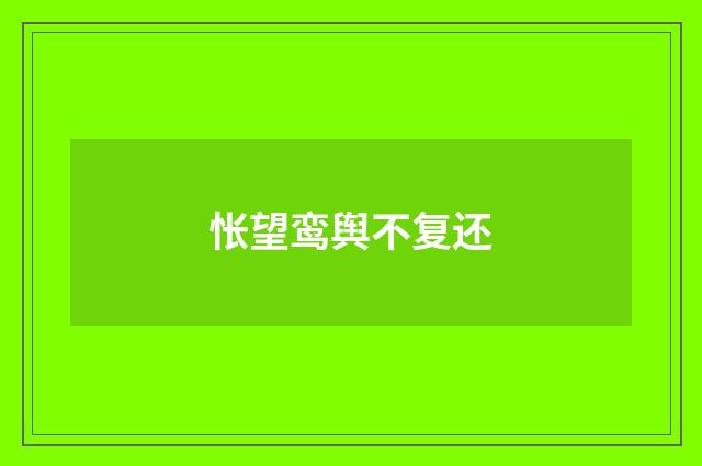 怅望鸾舆不复还