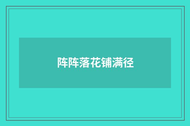 阵阵落花铺满径