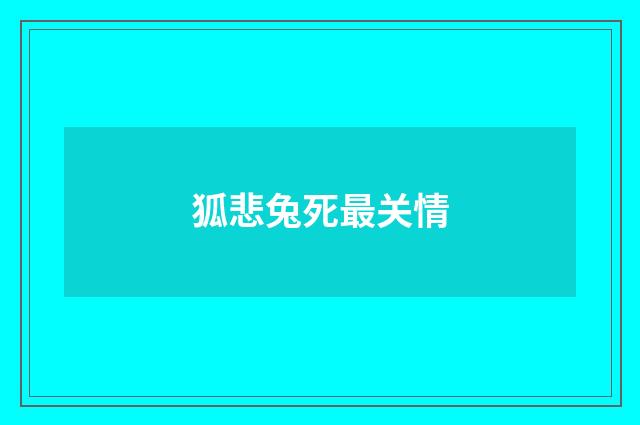 狐悲兔死最关情