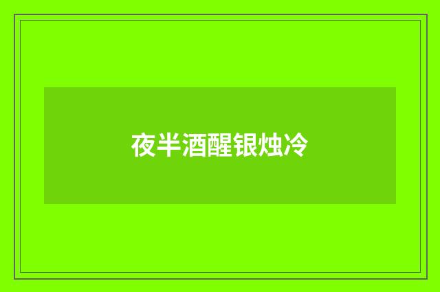 夜半酒醒银烛冷