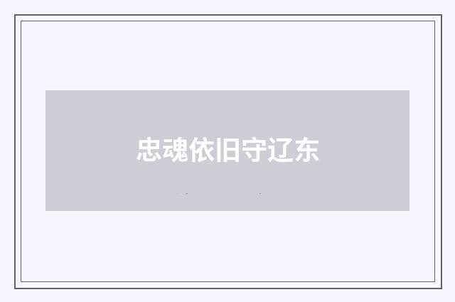 忠魂依旧守辽东