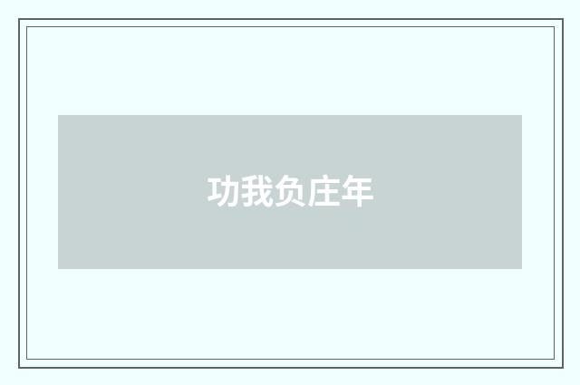 功我负庄年