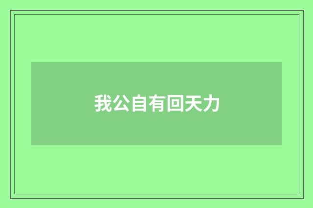 我公自有回天力