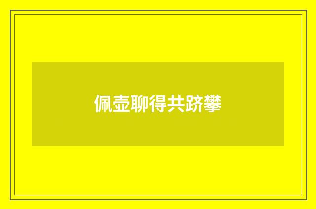 佩壶聊得共跻攀