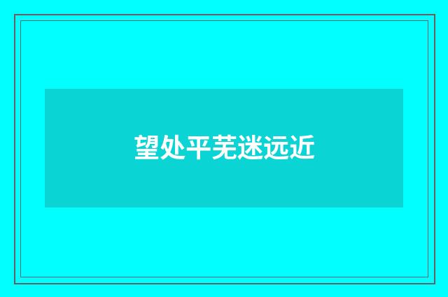 望处平芜迷远近