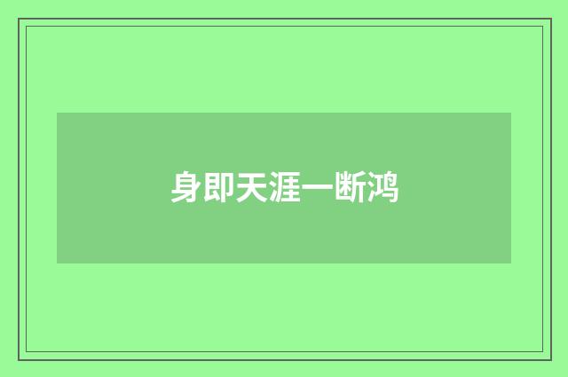 身即天涯一断鸿