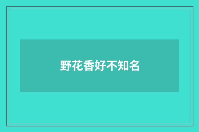 野花香好不知名