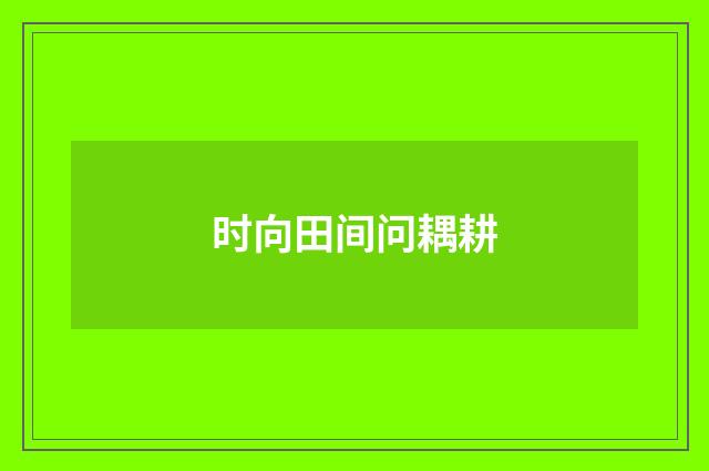 时向田间问耦耕