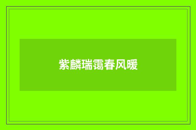 紫麟瑞霭春风暖
