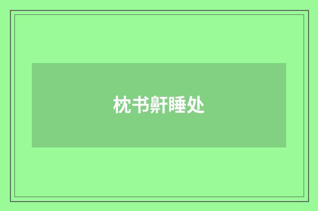 枕书鼾睡处