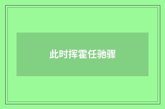 此时挥霍任驰骤