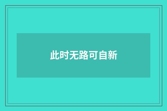 此时无路可自新