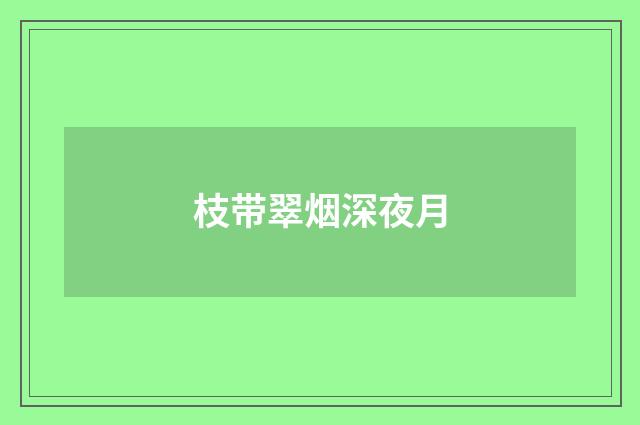 枝带翠烟深夜月