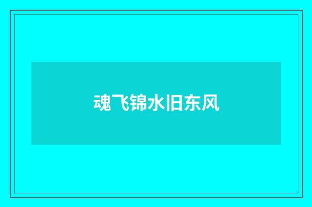 魂飞锦水旧东风