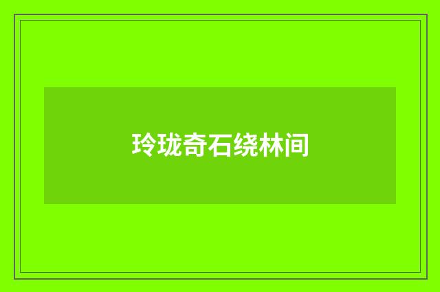 玲珑奇石绕林间