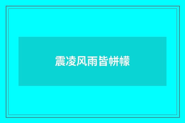 震凌风雨皆帡幪