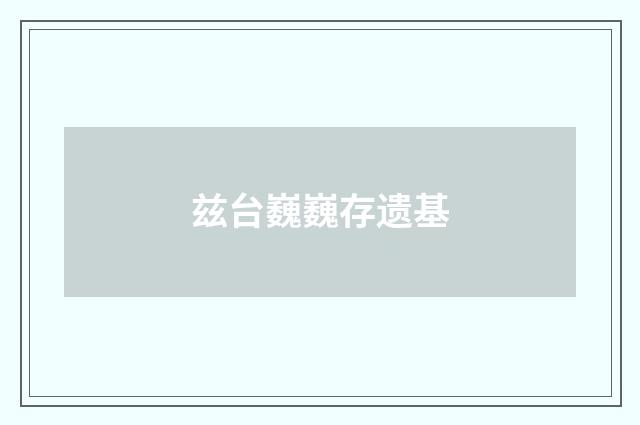 兹台巍巍存遗基