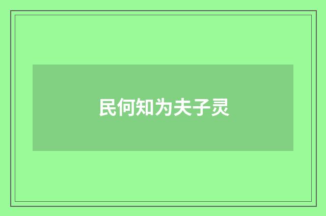 民何知为夫子灵