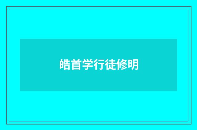 皓首学行徒修明