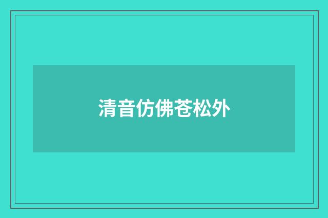 清音仿佛苍松外
