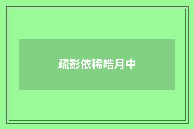 疏影依稀皓月中